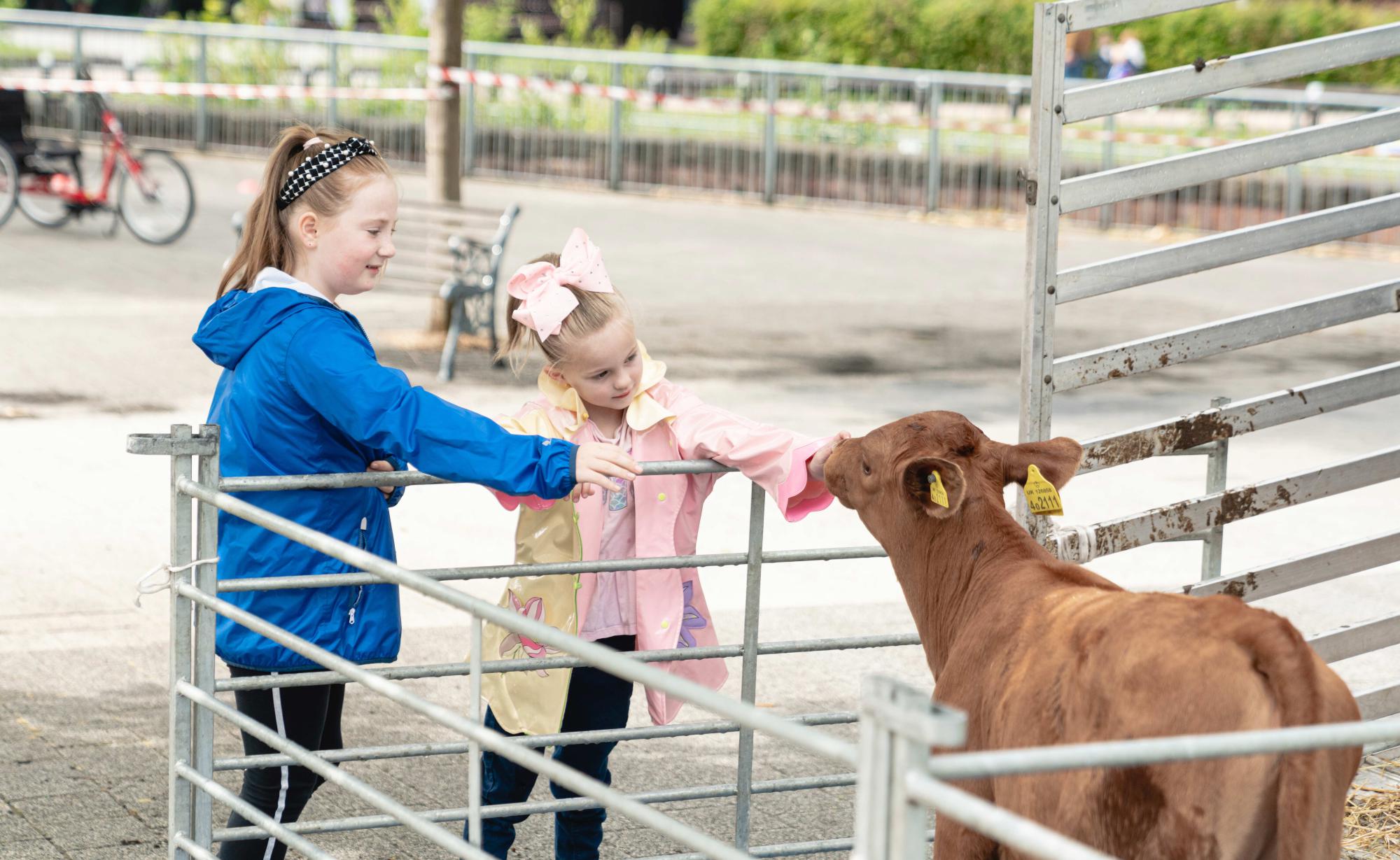 Two children feed a farm animal