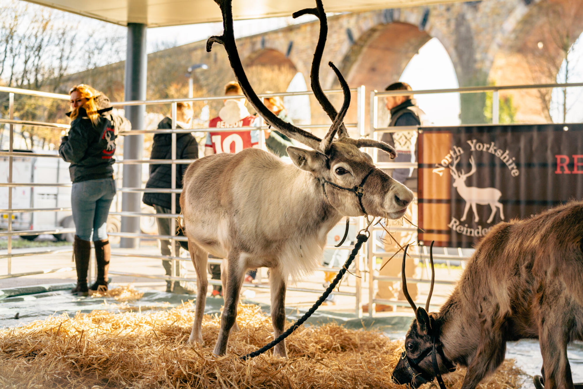 02-12-23-Winter-Wonderland-2023-21 02-12-23-Winter-Wonderland-2023-21