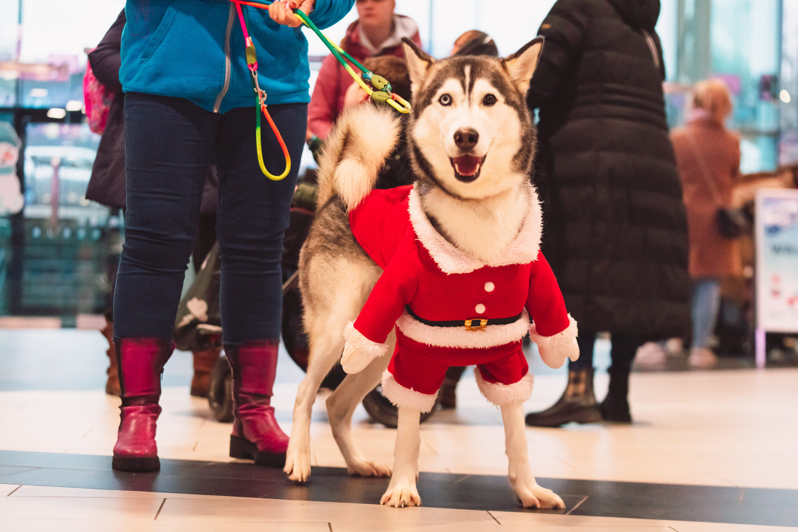 Winter Wonderland 24 – 07.12.24 – Web Ver-74 Winter Wonderland 24 - 07.12.24 - Web Ver-74